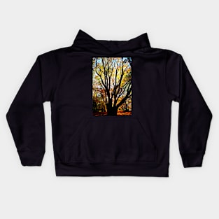 Incredible beech tree with multiple trunks and autumn leaves sunlit from behind in Canfaito forest Kids Hoodie